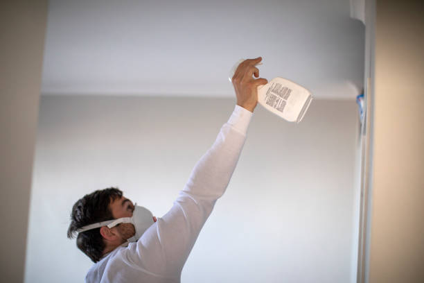 Certified Mold Removal in Southfield, MI