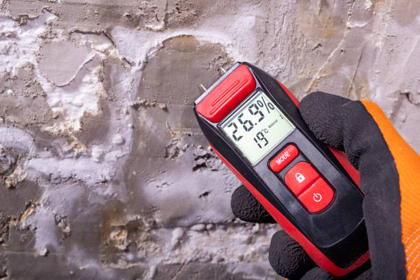 Best Certified Mold Removal  in Southfield, MI