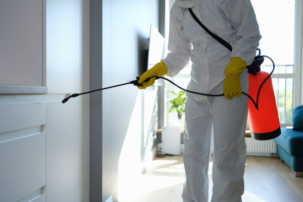Best Mold Testing  in Southfield, MI