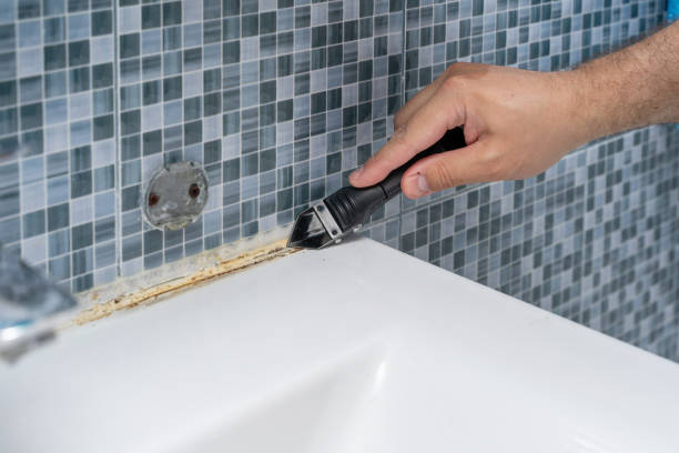 Office Mold Removal Services in Southfield, MI