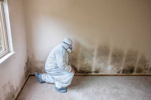 Best Mold Testing  in Southfield, MI